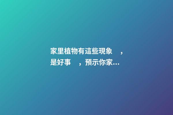 家里植物有這些現象，是好事，預示你家要發大財了！